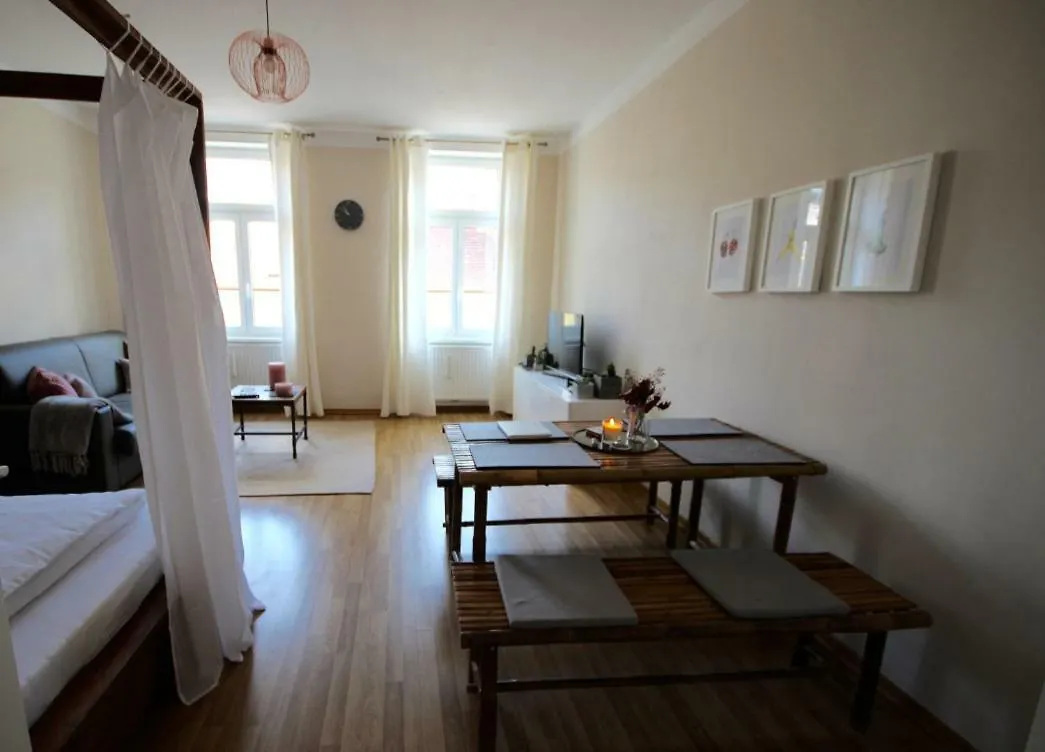 Ds Apartment Viena